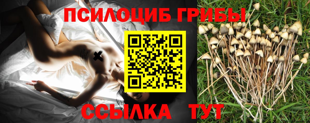 как найти закладки  Галлюциногенные грибы ЛСД  Вход с VPN  Алушта 